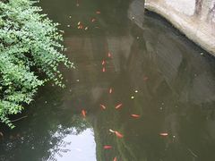 -蛇蟠岛