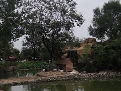 -静之湖湖畔餐厅