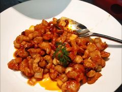 -秀儿四九城·新京菜(亚运村鸟巢店)