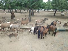-西安秦岭野生动物园