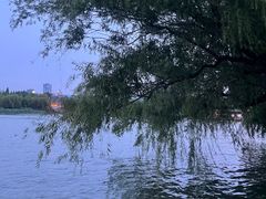 -济南大明湖景区