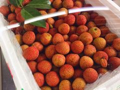 -鲜力达果品批发直销(青山店)