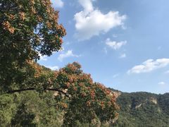 -北京上方山国家森林公园