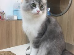 -瞄一喵猫咖(格力海岸店)