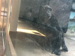 -辛玛王国游乐园