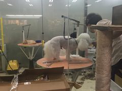 -乐宠宠物店(世纪金源店)