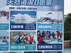 -秦皇岛乐岛海洋王国