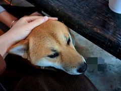 -城墙外BAR