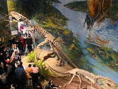 -自贡恐龙博物馆