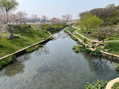 -羊山湖公园