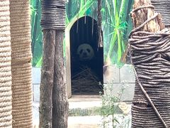 -南昌动物园