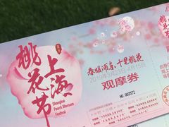 -南汇桃花村