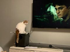 -海底捞火锅(长沙华创国际广场店)