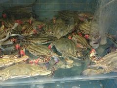 -金海湾海鲜总店