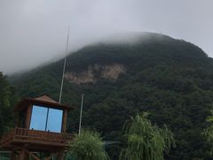 -栾川竹海野生动物园
