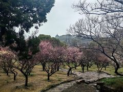 -无锡梅园公园