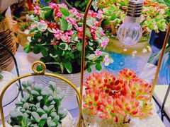 -桂林市花鸟市场