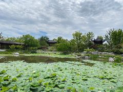 -上海滨江森林公园