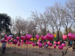 -洛阳市隋唐城遗址植物园