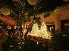 -拉斯维加斯永利酒店