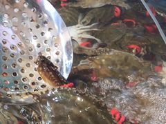 -港畔赶海蒸汽海鲜烧烤自助(仙螺岛店)