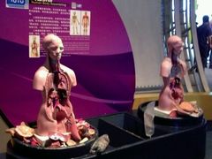 -广东科学中心