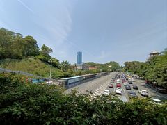 -章记正宗南岗鱼蛋火锅