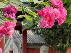-北京石刻艺术博物馆
