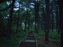 -黄椅山火山森林公园