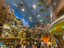 -卡通尼·Safari非洲探索乐园·生日会(金桥国际商业广场店)