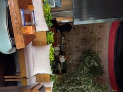 露天位-肉串汪(望京店)