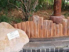 -威海天沐度假区温泉