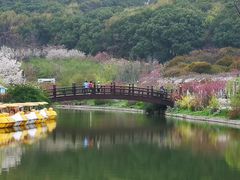 -苏州上方山国家森林公园