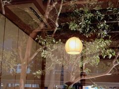 -黒豚料理 寿庵(中央駅西口店)