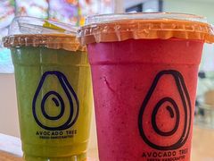 -油梨树AVOCADO TREE(嘉里中心店)