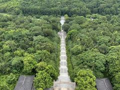 -宜兴龙背山森林公园