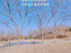 -北坞公园