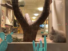 -龙猫仔乐园(惠福东路店)