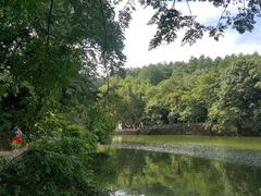 -韶山毛泽东同志故居