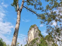 -南宁花花大世界景区