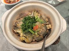 -朱记乳鸽王·非遗石岐乳鸽·全鸽宴(大兴旗舰店)