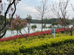 -昆山城市生态森林公园