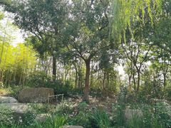 -茅山东方盐湖城景区