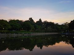 -荔湾湖公园