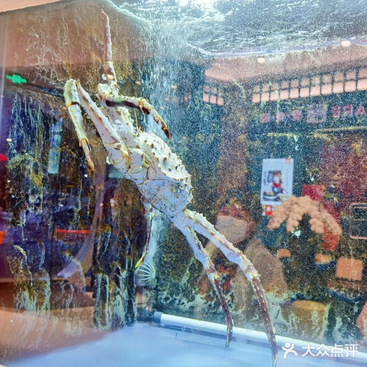 环球的珍宝海鲜美味大餐