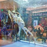 环球的珍宝海鲜美味大餐