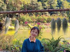 -深圳仙湖植物园-停车场