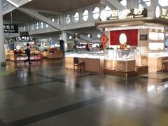 -厦门高崎国际机场-T3航站楼
