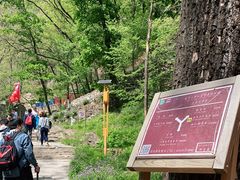-北京上方山国家森林公园