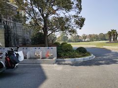 -棕榈滩海景高尔夫俱乐部